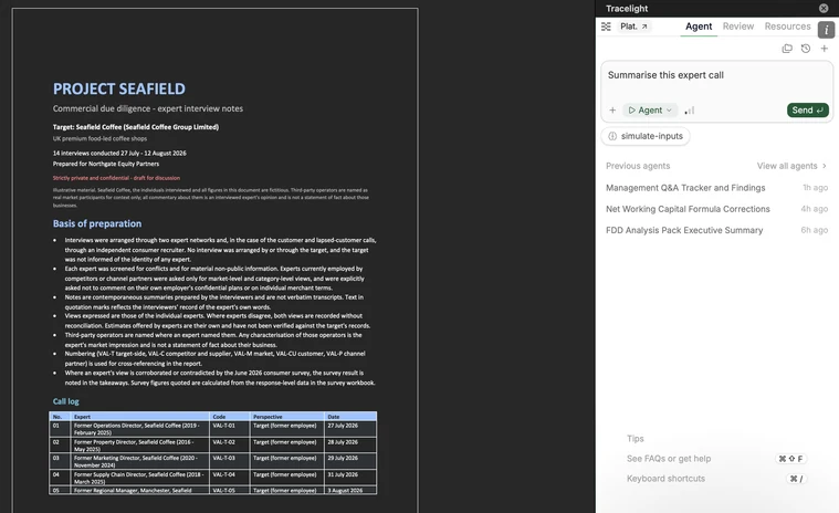 The Tracelight add-in open in Word next to expert interview notes